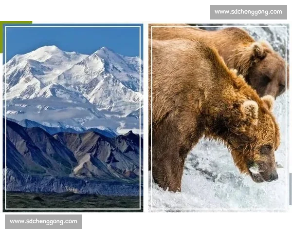 赞比亚对阵伊朗非洲力量与西亚战术碰撞的全景观察深度分析与战术解读 赞比亚对阵伊朗非洲力量与西亚战术碰撞的全景观察深度分析与战术解读